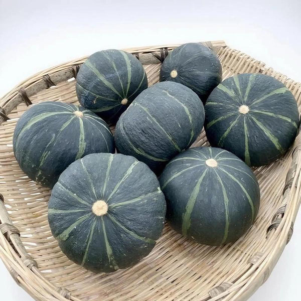 'Li Mei No. 1' Baby Pumpkin Seeds, 500 Seeds