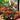 553 Little Heartbreaker Tomato, 5 Seeds