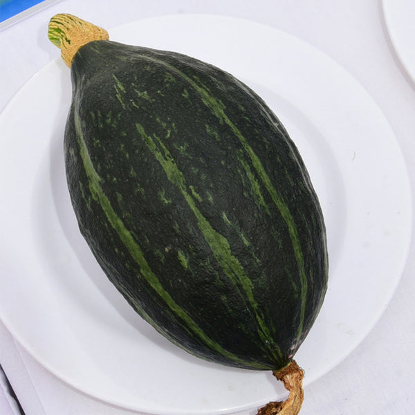 Jingyan Olive-shaped Pumpkin Seeds, 10 Seeds