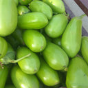 ‘Green Crown’ F1 Eggplant Seeds, 10g