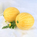 'Fuqi Chaoyang' Watermelon Seeds, 200 Seeds