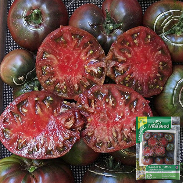 Black Krim Tomato, 20~30 Seeds