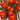 Red Double French Marigold, 200 Seeds