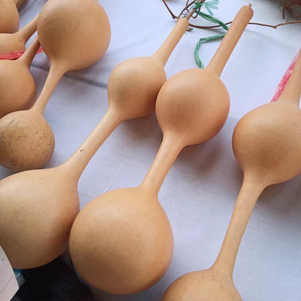 Da San Ting Gourd, 5 Seeds