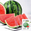 Rock Sugar Kirin No.2 Watermelon Seeds, pack of 50