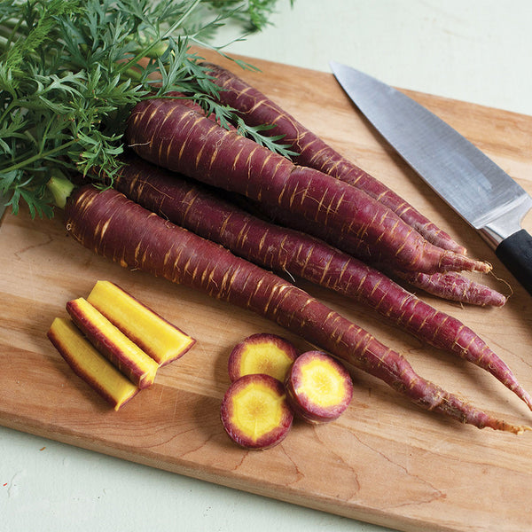 Purple Carrot F1 Seeds, 5 Grams ≈ 3000 Seeds