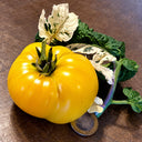 206 Dwarf Walter's Fancy Tomato, 5 Seeds