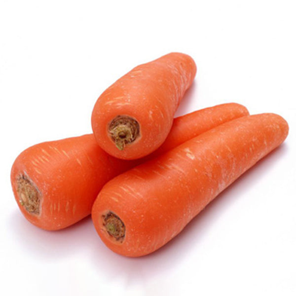 'H1182 F1' Carrot Seeds, 10g