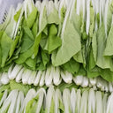 'Jiemei Golden Sweet' Bok Choy Seeds, 20g