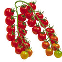 'Waterfall Red Cluster' Cherry Tomato Seeds, 20 Seeds