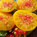 1040 Snowflake Beefsteak Tomato, 5 Seeds