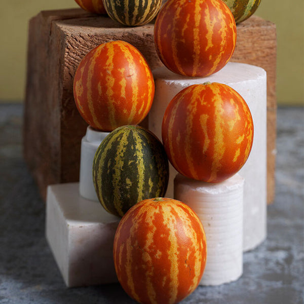 Tigger Melon (Cucumis melo) Seeds, 20 Seeds