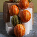 Tigger Melon (Cucumis melo) Seeds, 20 Seeds
