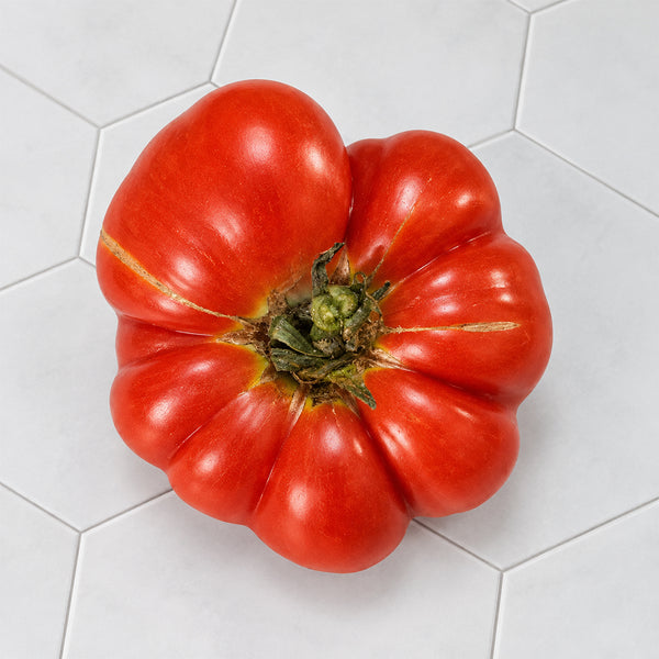 10 Ceylon Tomato, 5 Seeds