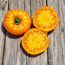 43 Jason 8 Yellow Tomato, 5 Seeds