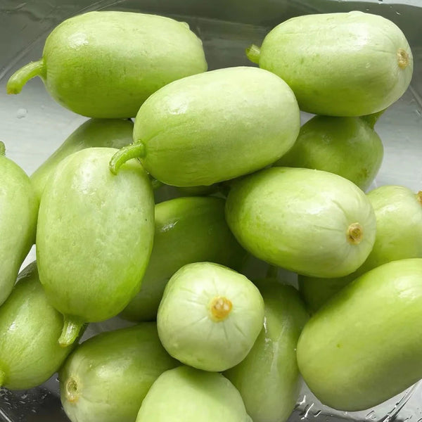 Yuanbao Fruit Cucumber, 5 Seeds