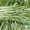 'JieMei' White-Stemmed Water Spinach Seeds, 20g
