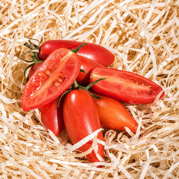 523 Sweet Casady Tomato, 5 Seeds