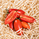 523 Sweet Casady Tomato, 5 Seeds