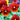 Hezhichun Pansy 'Vermilion Mole', 30 Seeds