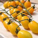 529 Yellow Datterini Tomato, 5 Seeds