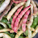 Red Golden Hook Kidney Bean Seeds, 10g Per Bag