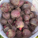 HC Purple Top Beet Seeds, 10g