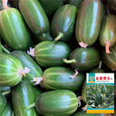 'Golden Boy' Cucumber F1 Seeds, 10 Seeds
