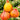 1095 Light of Baltic Tomato, 5 Seeds
