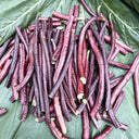 Mandihong Purple Yardlong Bean Seeds (No Trellis Required), 5 × 5g Bags
