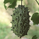 Kiwano Melon Seeds, 50 Seeds