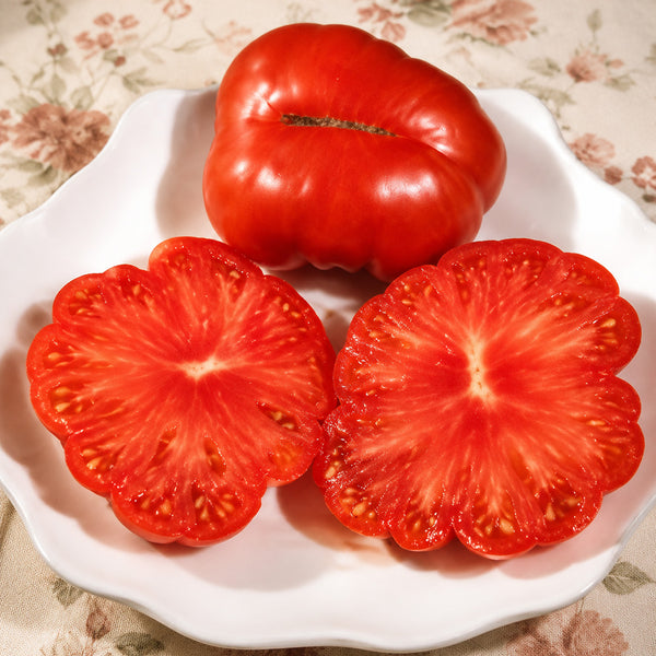 93 Granny Harriet's Heirloom Tomato, 5 Seeds
