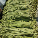 Jiemei No.6 Long Bean Seeds, 20g
