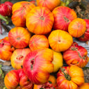 819 Yellow Marble Tomato, 5 Seeds
