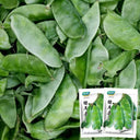 Pig-ear-shaped Hyacinth Bean Seeds, 20g