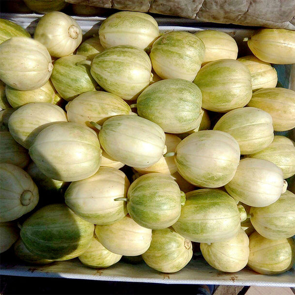 Tianfei Sweet Melon Seeds, 2g