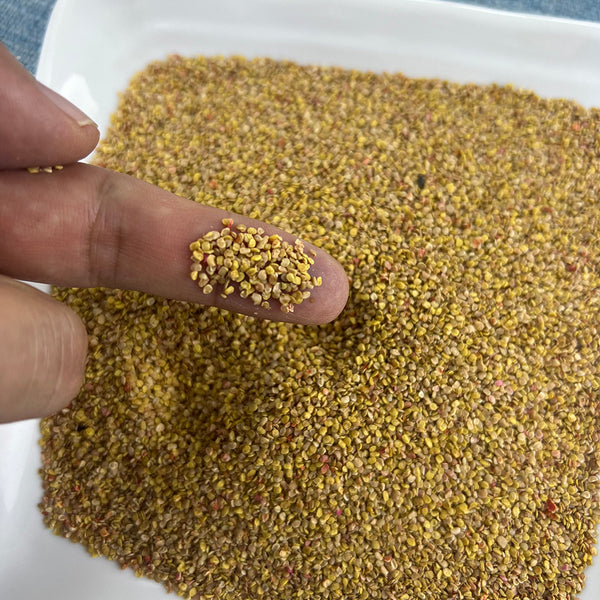 Fruitless Edible Leaf Wolfberry, 1000 Seeds