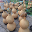 Extra Large Waist Gourd, 5 Seeds