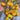 Pineapple Blue Pear Tomato, 5 Seeds