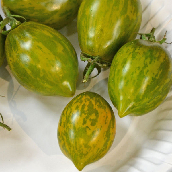 Mint Julep Tomato, 15 Seeds