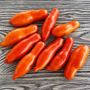 475 Dwarf Strelka Tomato, 5 Seeds