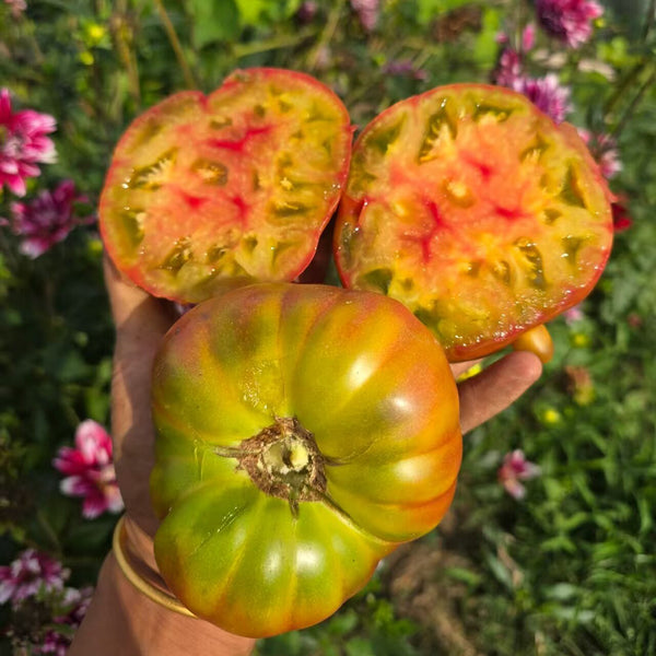 1106 Luxury Piglet Tomato, 5 Seeds