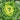Yellow-Heart Flat Cabbage Seeds, 10g