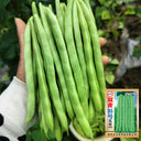 'Shuangqing No.35' Snap Bean Seeds, 25g