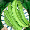 'Nongdianzan' Winged Bean, 10 Seeds