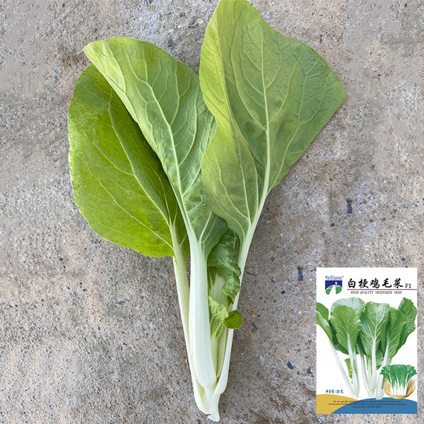 White-Stalked Baby Bok Choy Seeds, 20g