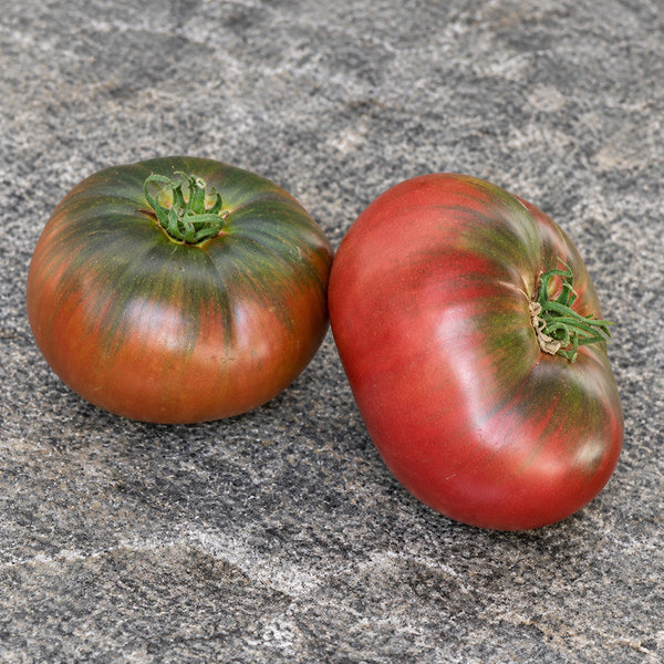73 Polaris Tomato, 5 Seeds