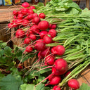'Ailuo' Cherry Radish Seeds, 10g