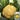 Orange Flower No.2 Cauliflower Seeds, 1g