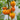 256 Tall Sally × Dwarf Viper Tomato, 3 Seeds